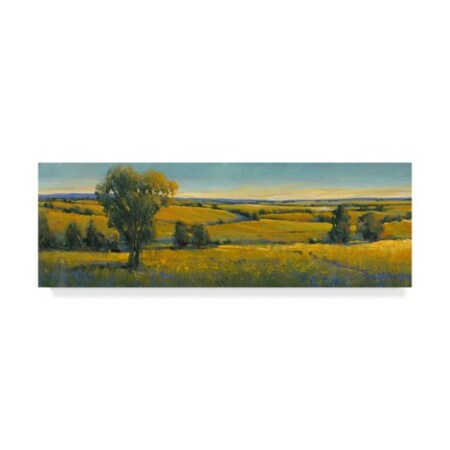 Trademark Fine Art